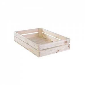 AUKTIONSBOX TBV GN 1/1 ABM. 55X35,5X (H) 11CM. Gepflanzte Feuer