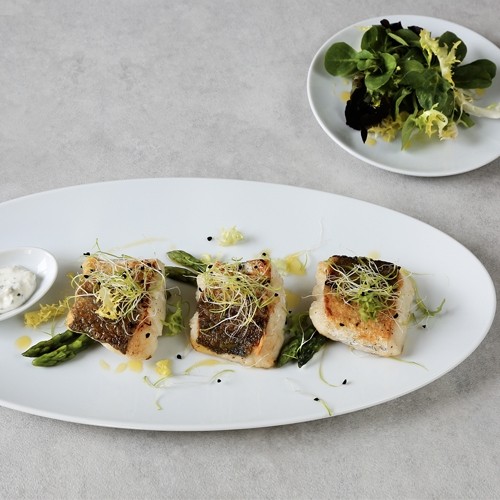 COUPE BOWL OVAL 8x5 CM SATURNO WHITE