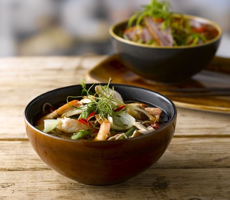 Churchill Nourish Siena Brown