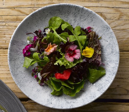 Churchill Studio druckt Stone Pearl Grey