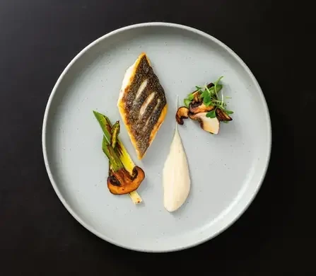 Costa Nova - Pacifica 'Oyster'