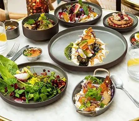 Q Authentique « Forêt »